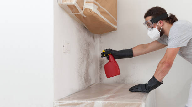 Professional Crawl Space Mold Remediation technician working in Downers Grove, IL